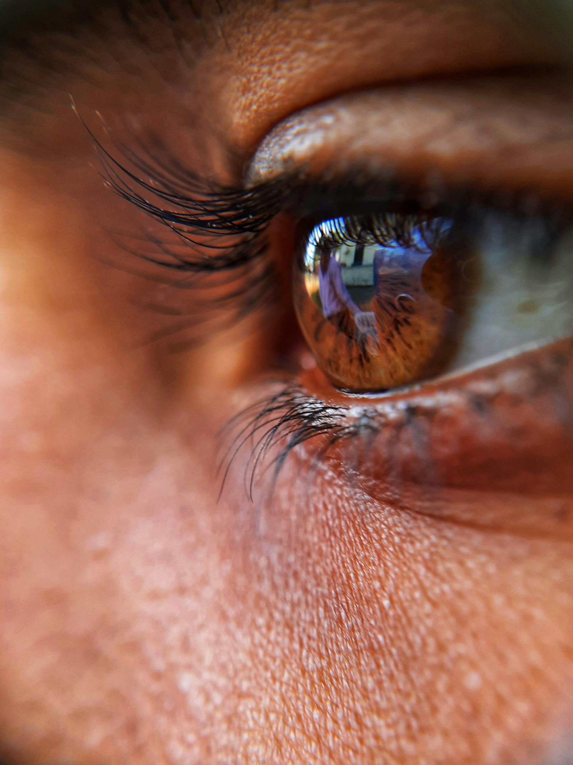 Detailed close-up of a brown eye reflecting a scene, showcasing texture and color.